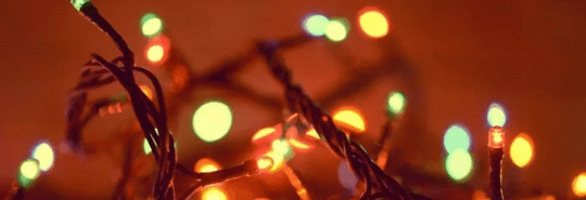 holiday lights