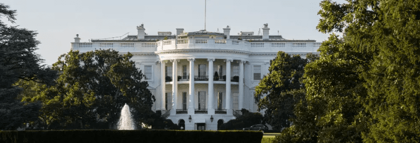 the white house