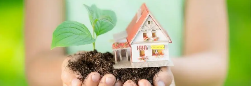 eco-friendly home