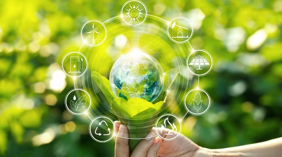 eco friendliness graphic